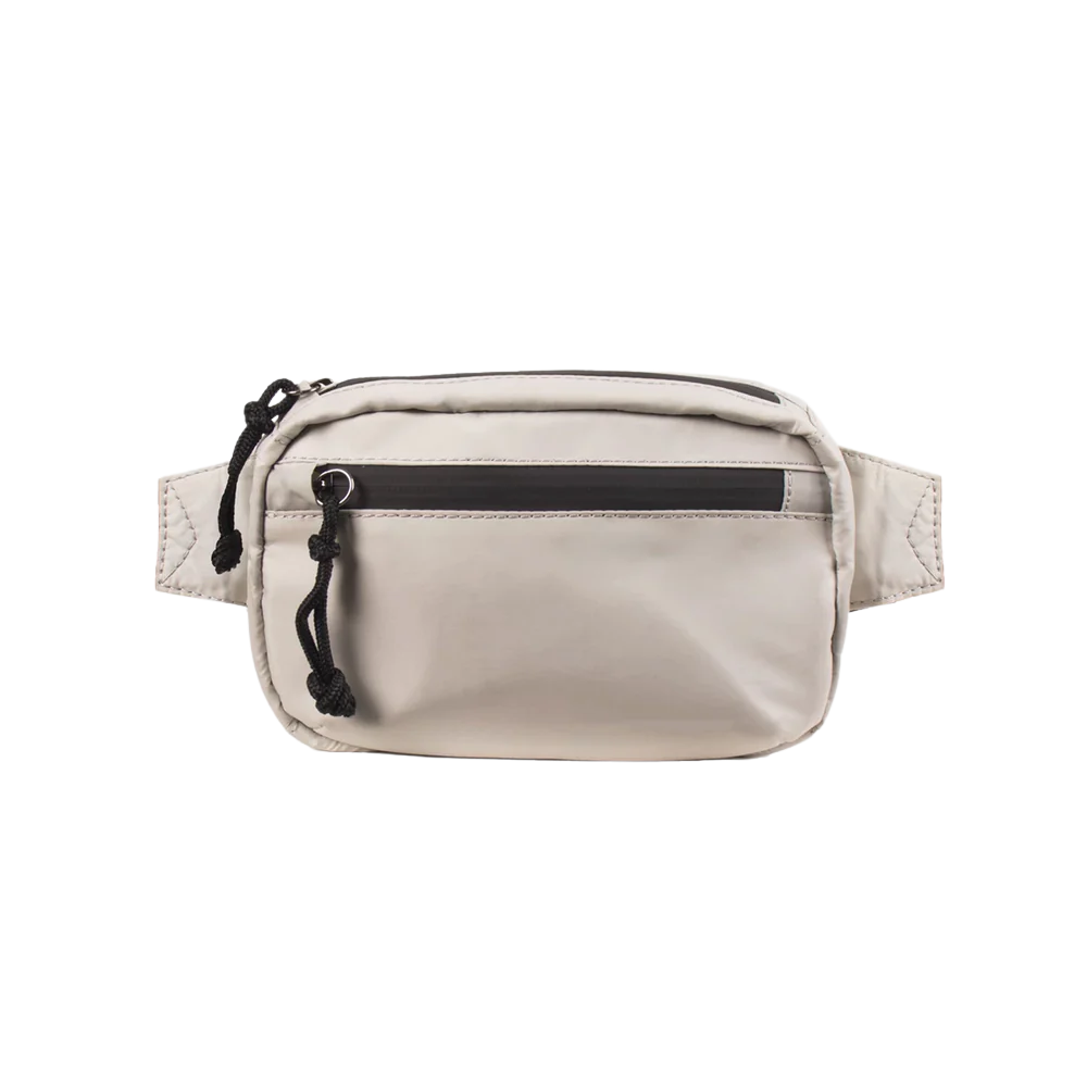 Fanny Pack 1