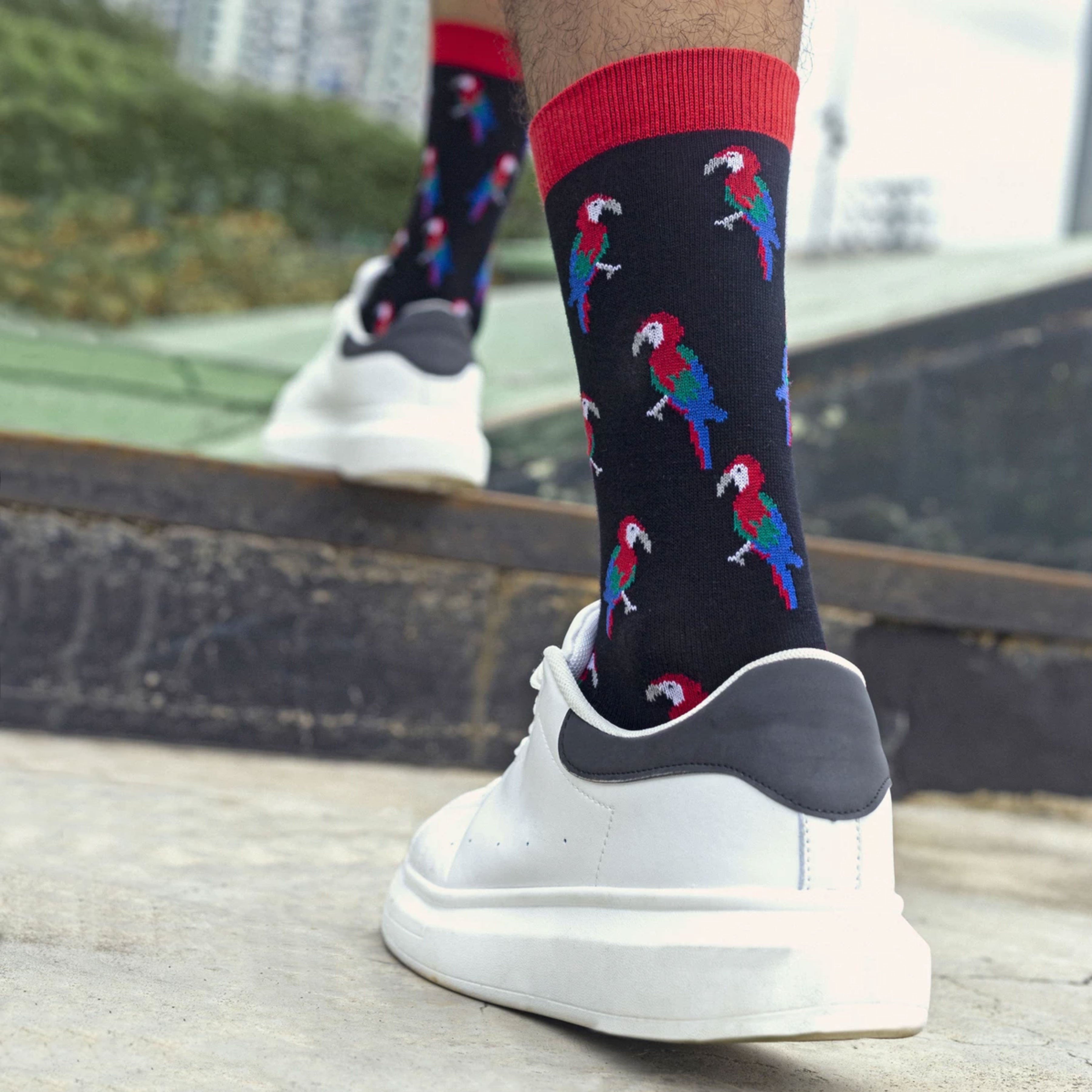 Crew Socks (Full Pattern)