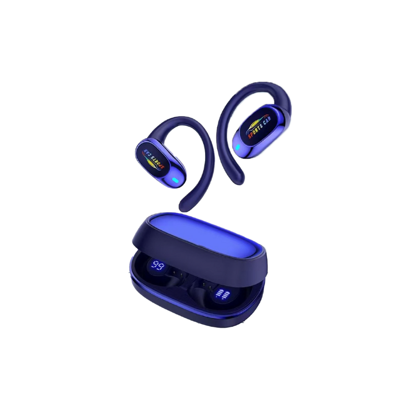 Sport Earbuds with Ear Hooks
