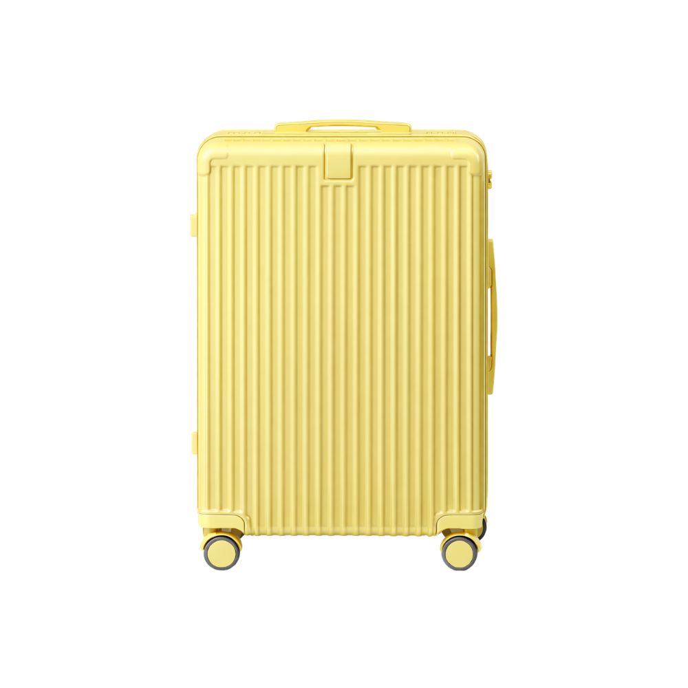 Custom Luggage 3
